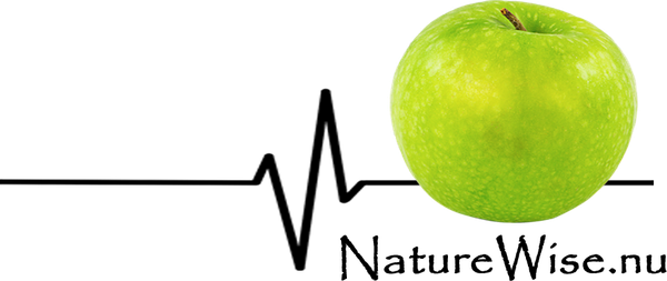 NatureWise logo - Natuurgeneeskunde & Vitaliteit